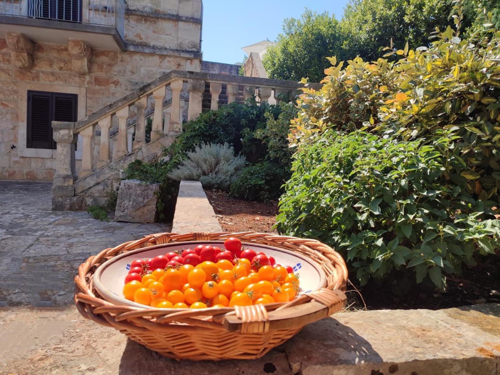 Villa Ostuni Monopoli Exterior photo