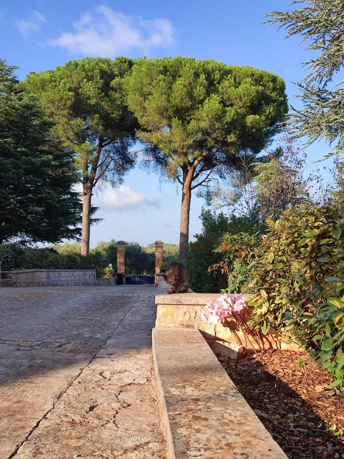 Villa Ostuni Monopoli Exterior photo